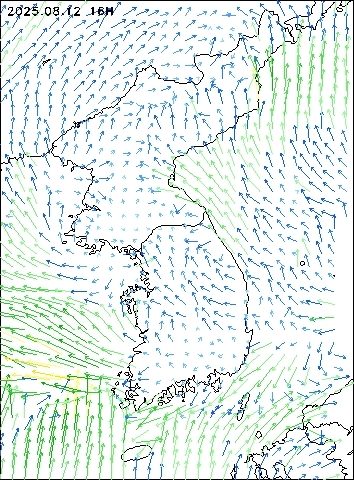 2025-08-12 16 : 00