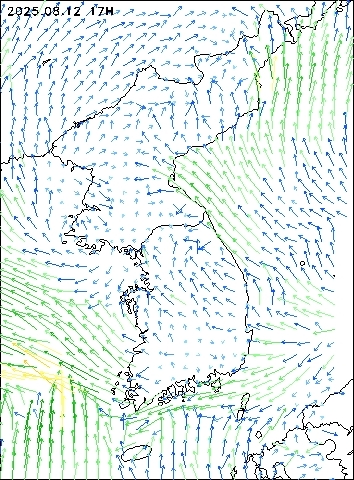 2025-08-12 17 : 00