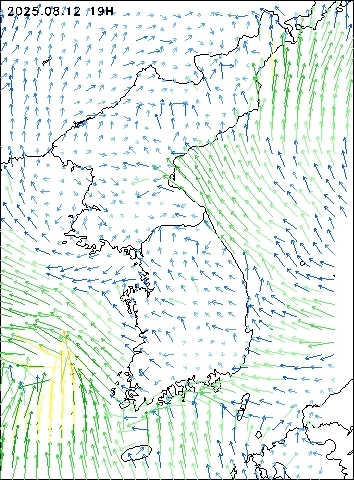 2025-08-12 19 : 00
