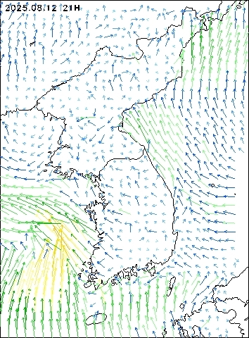 2025-08-12 21 : 00