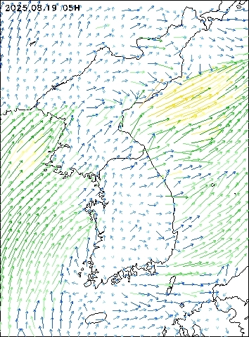 2025-08-19 05 : 00