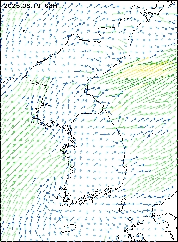 2025-08-19 08 : 00