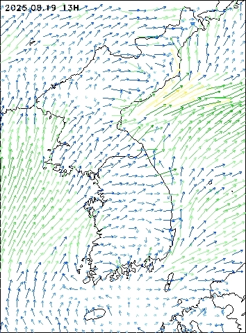 2025-08-19 13 : 00
