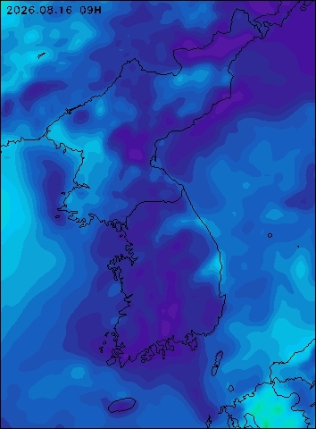 2026-08-16 09 : 00