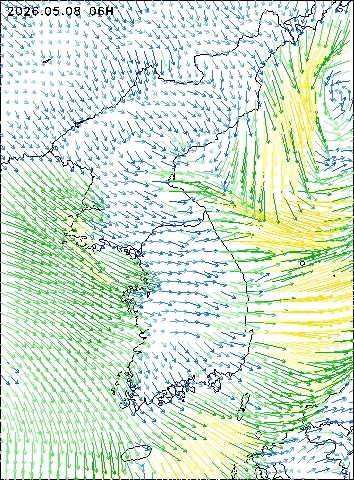 2026-05-08 06 : 00