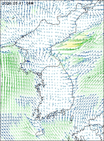 2026-05-11 06 : 00